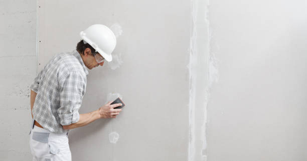 Best Mold Remediation for Vacation Homes  in Saddle River, NJ
