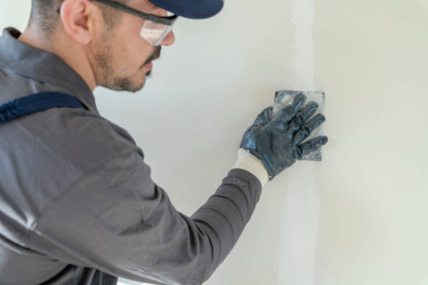 Best Mold Documentation for Insurance Claims  in Saddle River, NJ