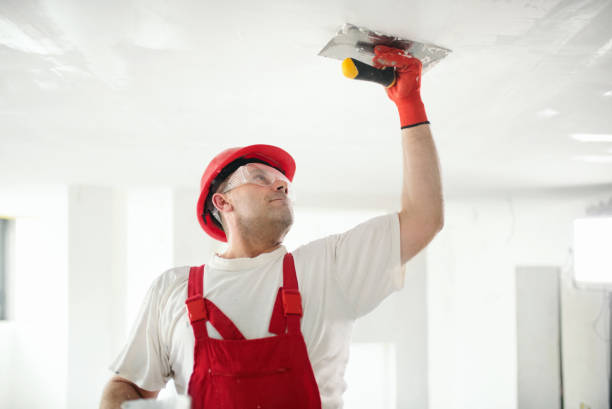 Best Mold-Related Health Consultation  in Saddle River, NJ