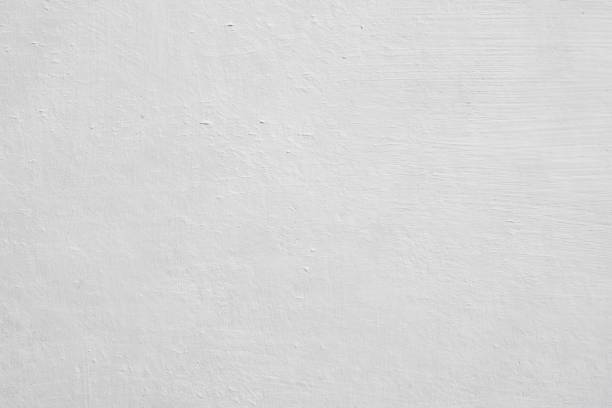 Professional Mold Removal in Saddle River, NJ
