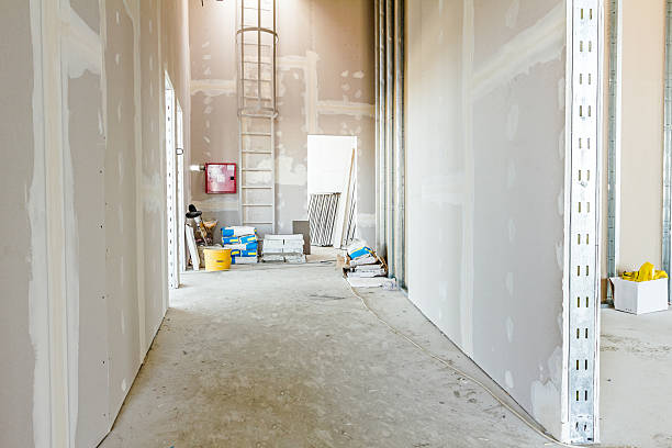 Best Commercial Mold Inspection  in Saddle River, NJ
